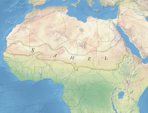 Transnational Crime in the Sahara